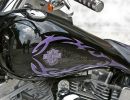 purple rain008